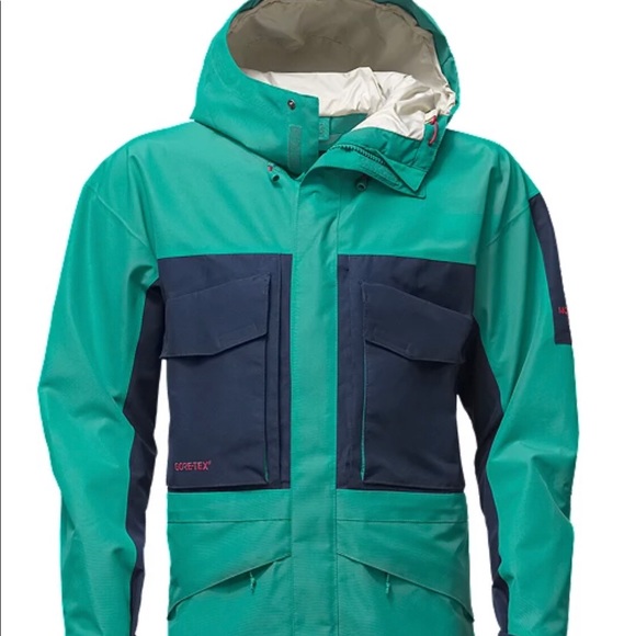 The north face fantasy ridge GTX Parka - Picture 2 of 9